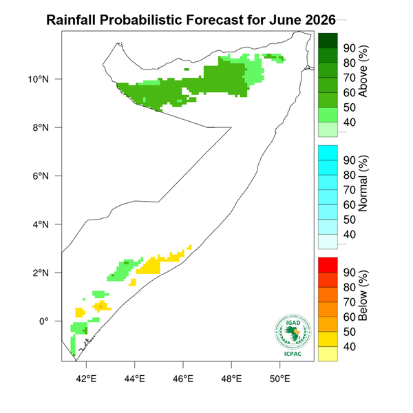 Rainfall forecast