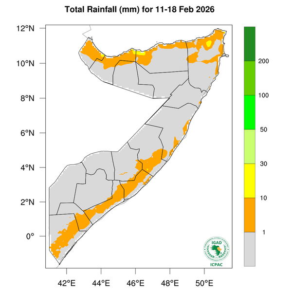Rainfall forecast