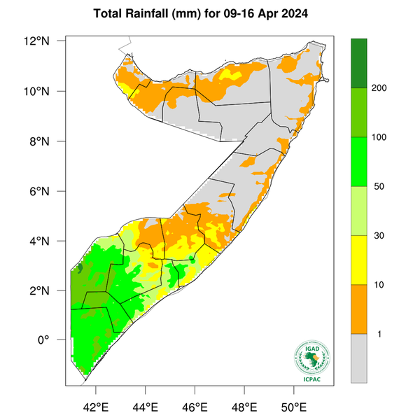 Rainfall forecast