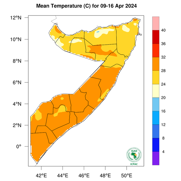 Temperature forecast