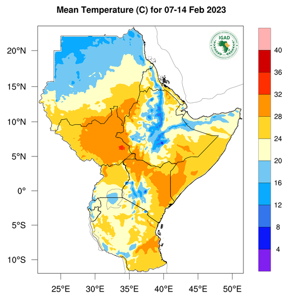 Temperature forecast