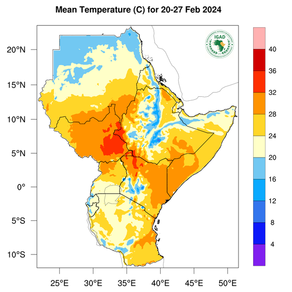 Temperature forecast