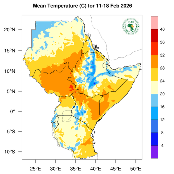 Temperature forecast