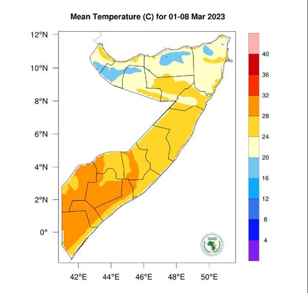 Temperature forecast