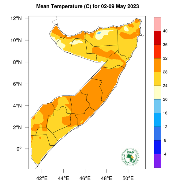 Temperature forecast
