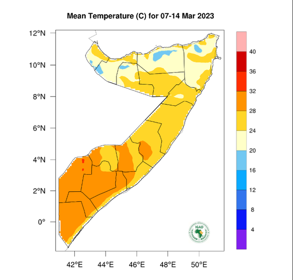 Temperature forecast