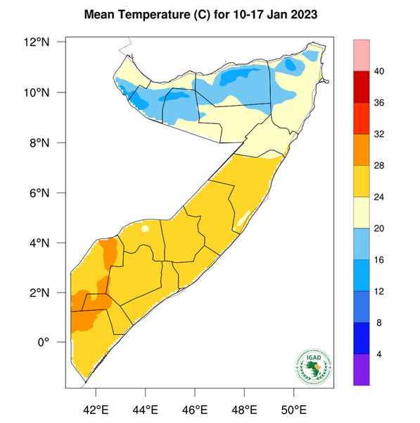 Temperature forecast