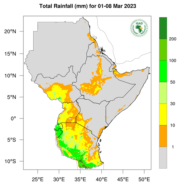 Rainfall forecast