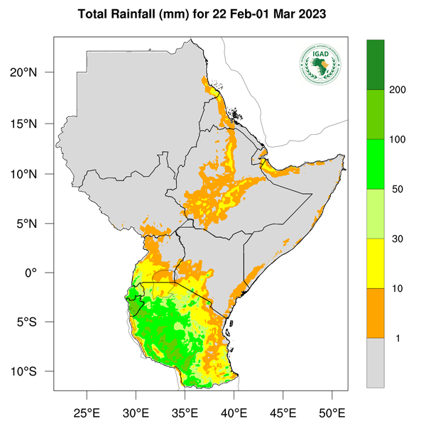 Rainfall forecast