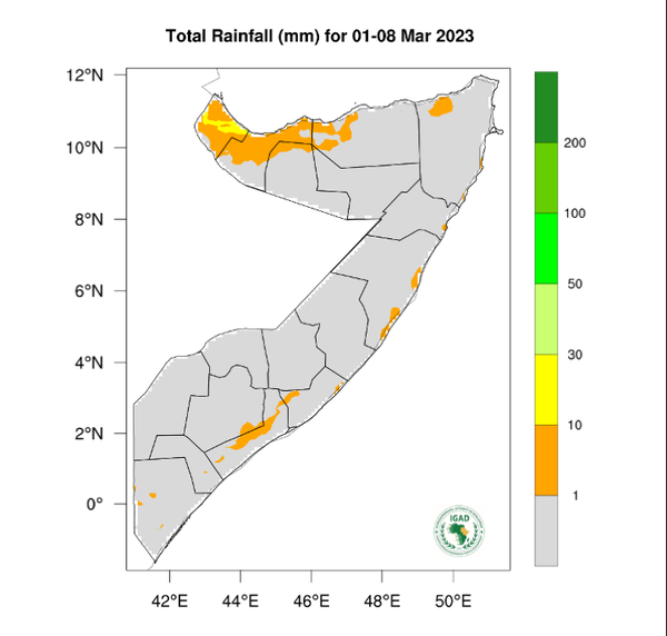 Rainfall forecast