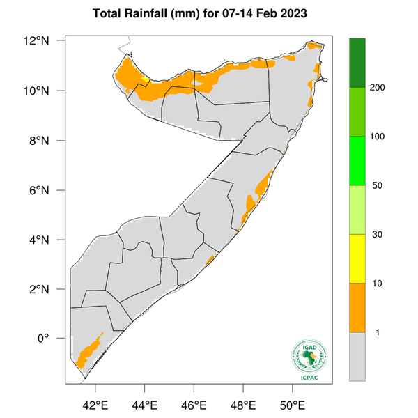 Rainfall forecast