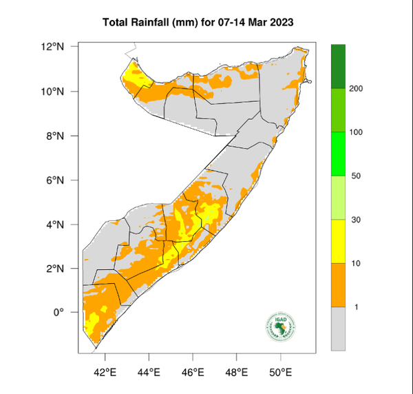 Rainfall forecast