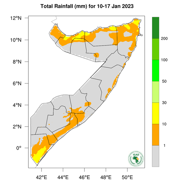 Rainfall forecast