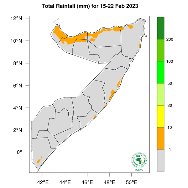 Rainfall forecast
