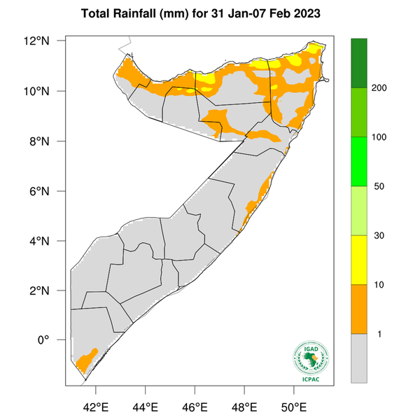 Rainfall forecast