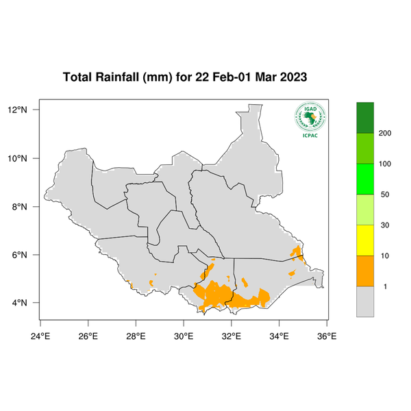 Rainfall forecast